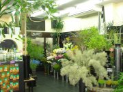 「花のマリモ」　（長野県上田市）の花屋店舗写真1